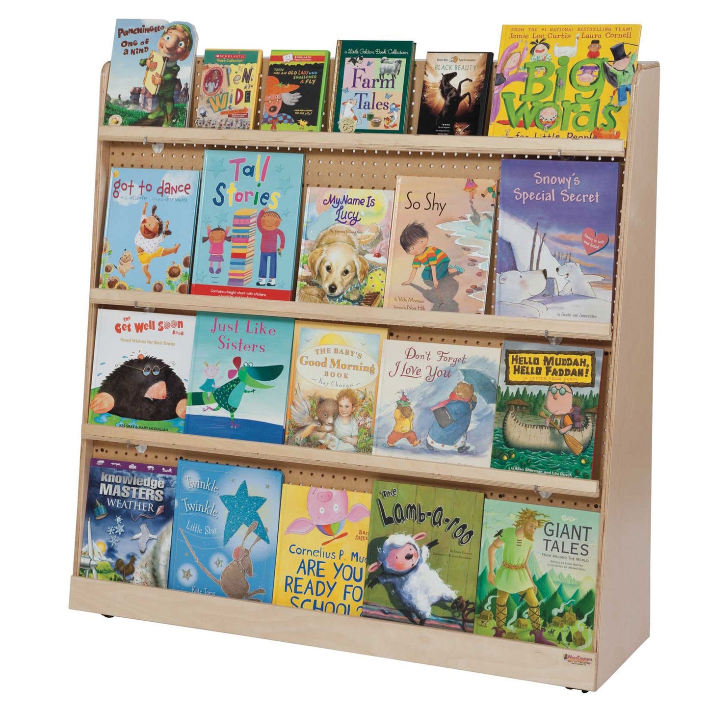 Deluxe double-sided book display
