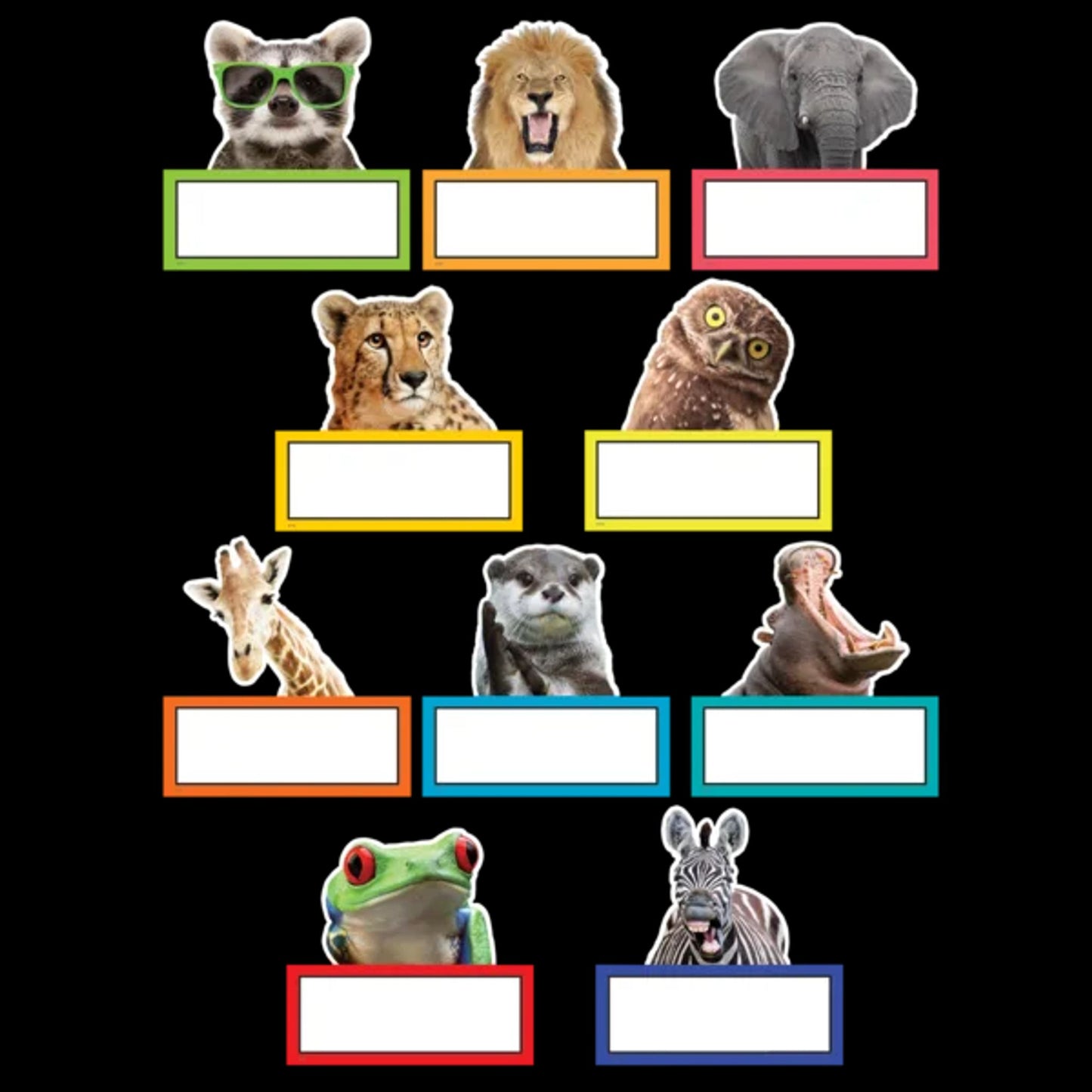Découpes animaux