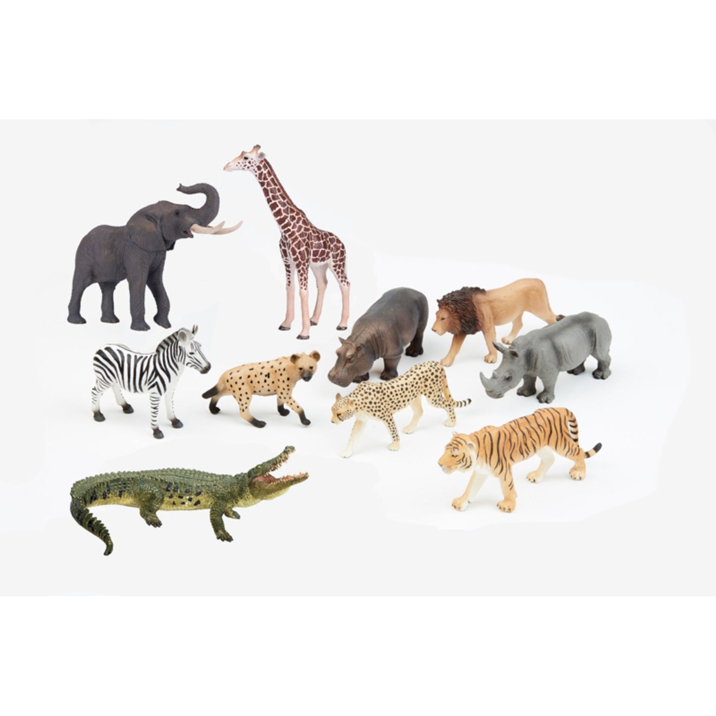Wildlife Animals
