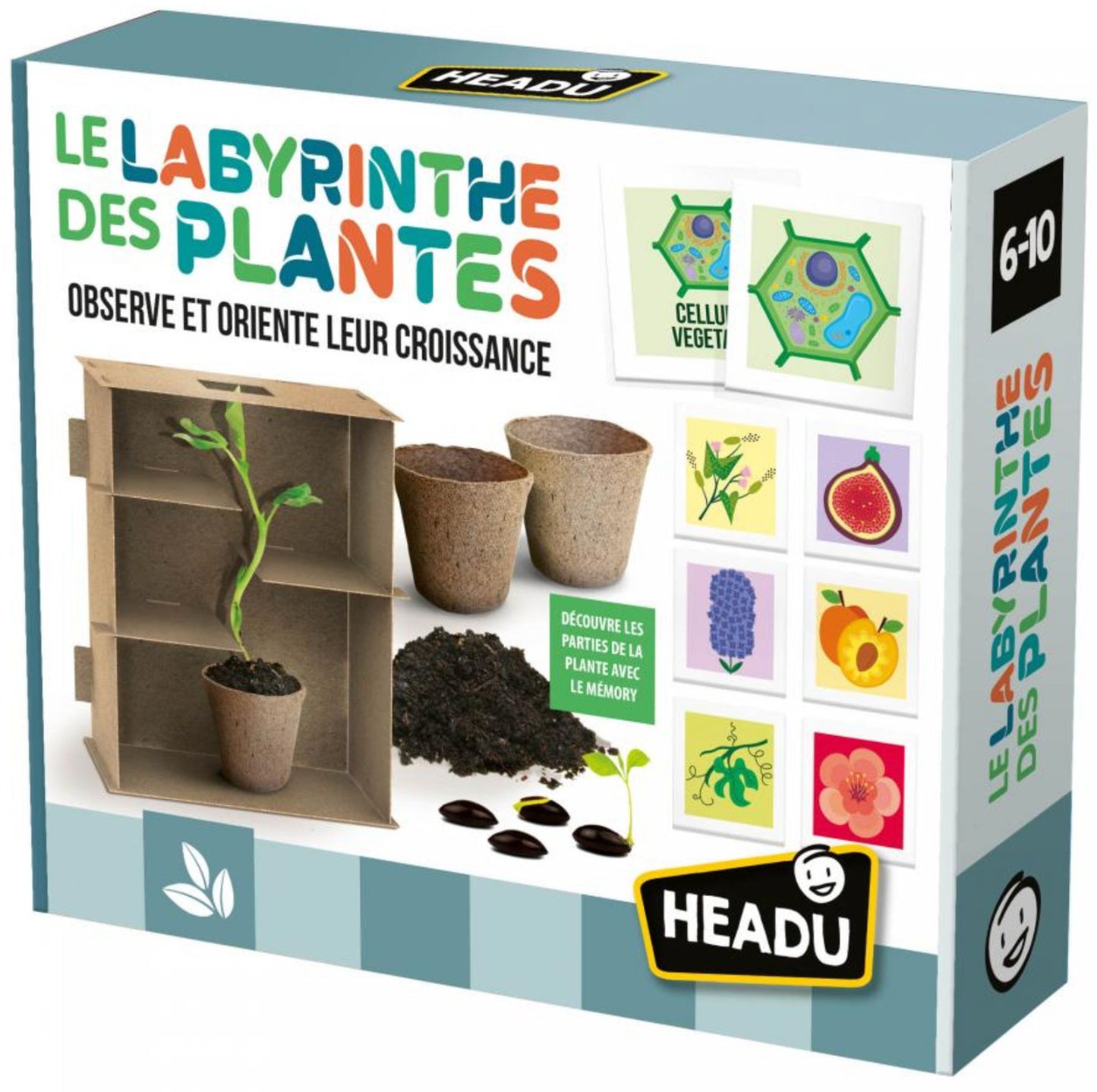 Le labyrinthe des plantes