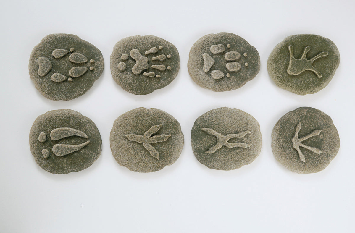 Animaux de la forêt