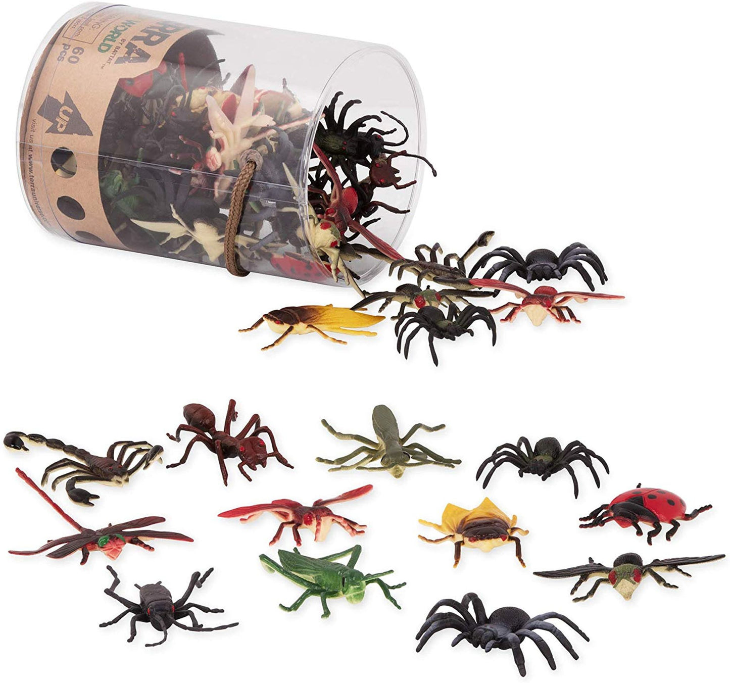 Insectes en tube