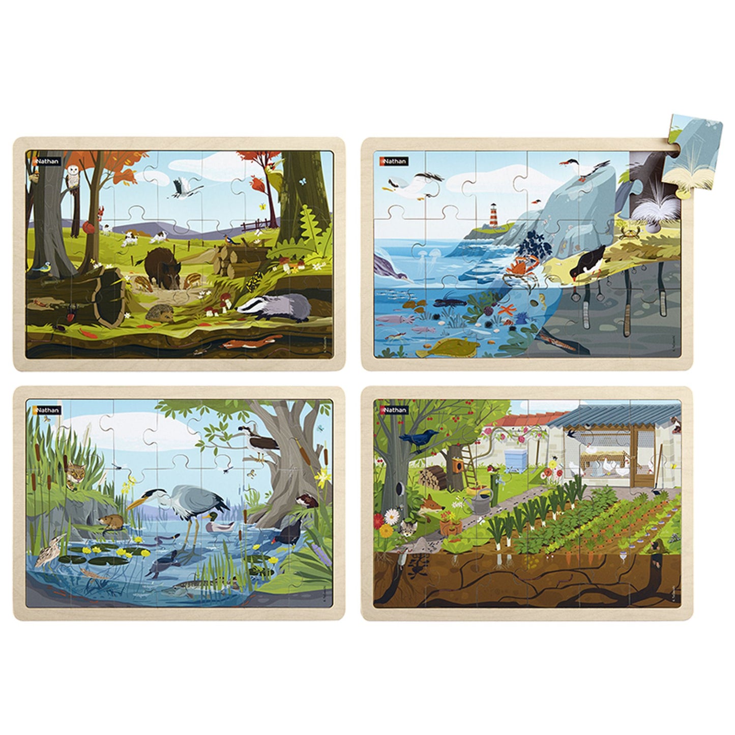 Puzzles – Le monde vivant