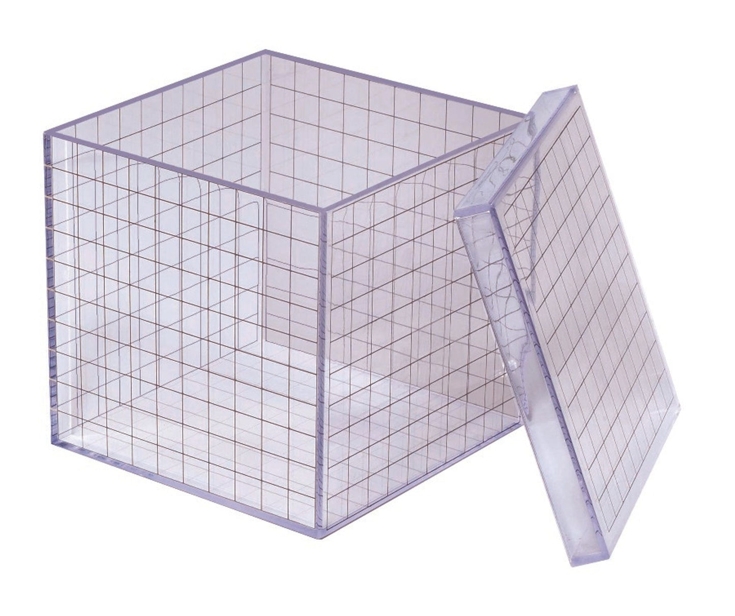 Cube transparent base 10