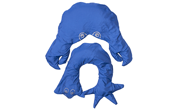 Housses protectrices pour Amilourds