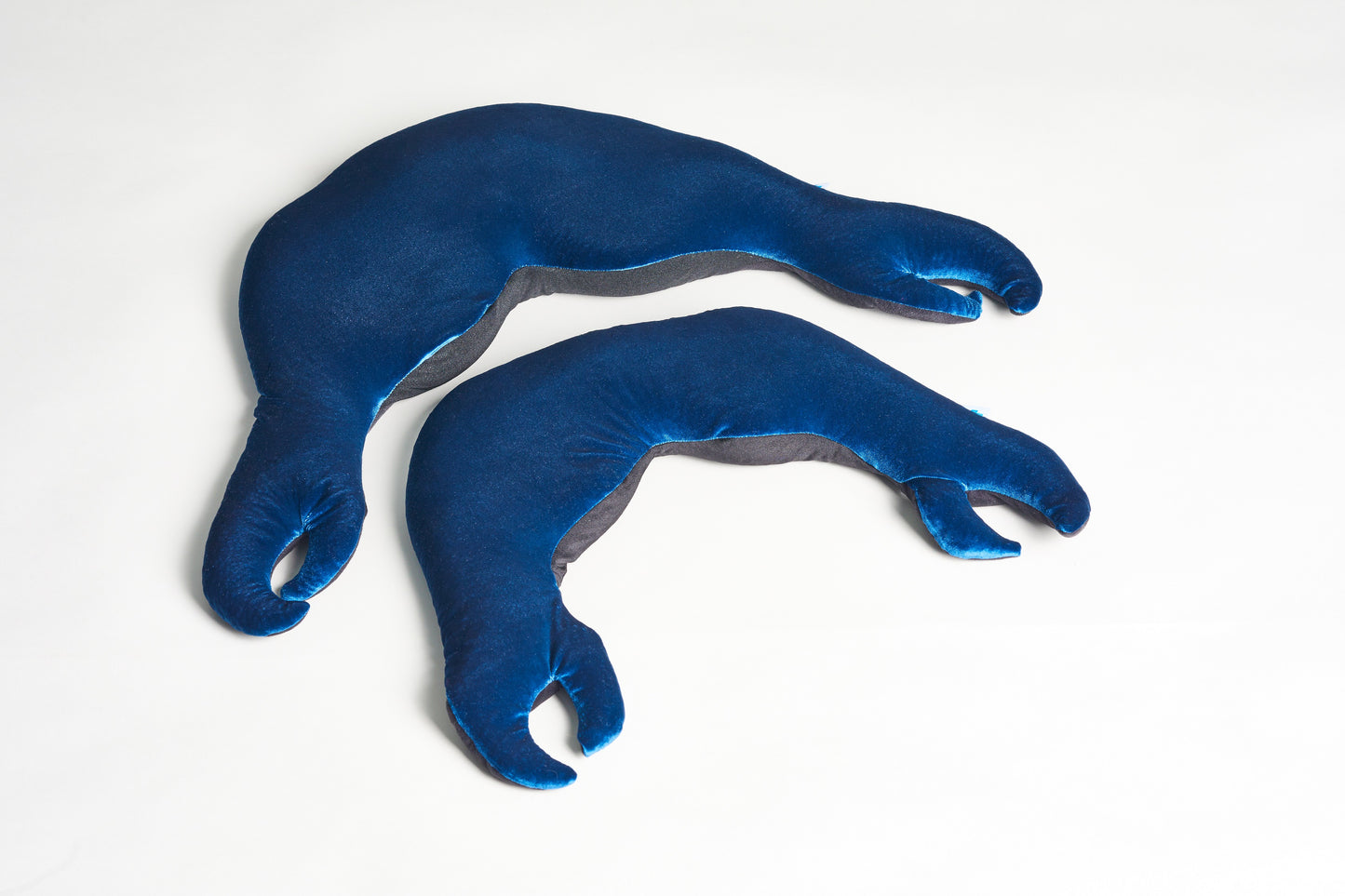 Amilourd – Colin le crabe