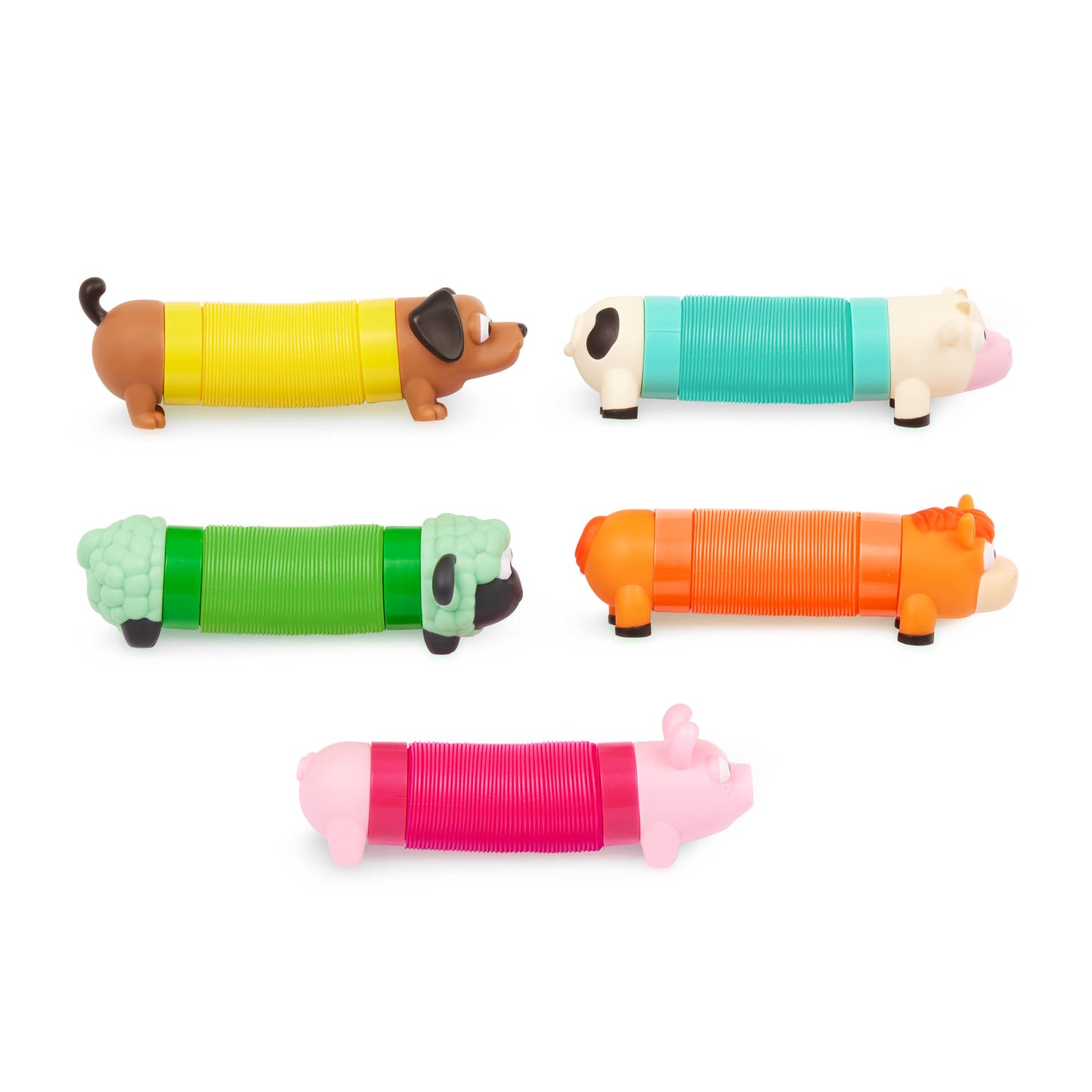Ensemble De Pop-Tubes Sensoriel Animaux