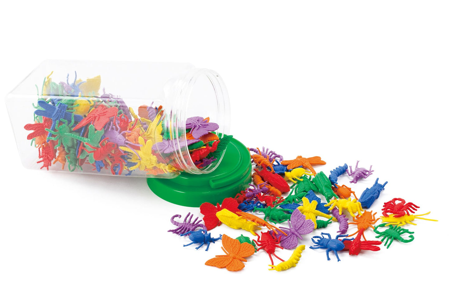 Sorting Set - Insects