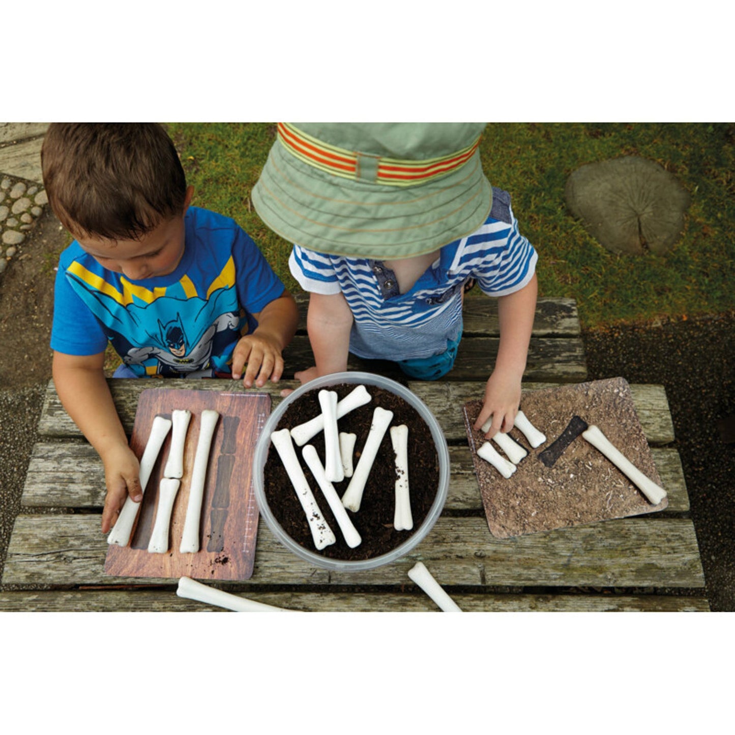Dinosaur Bones Match and Measure Resources