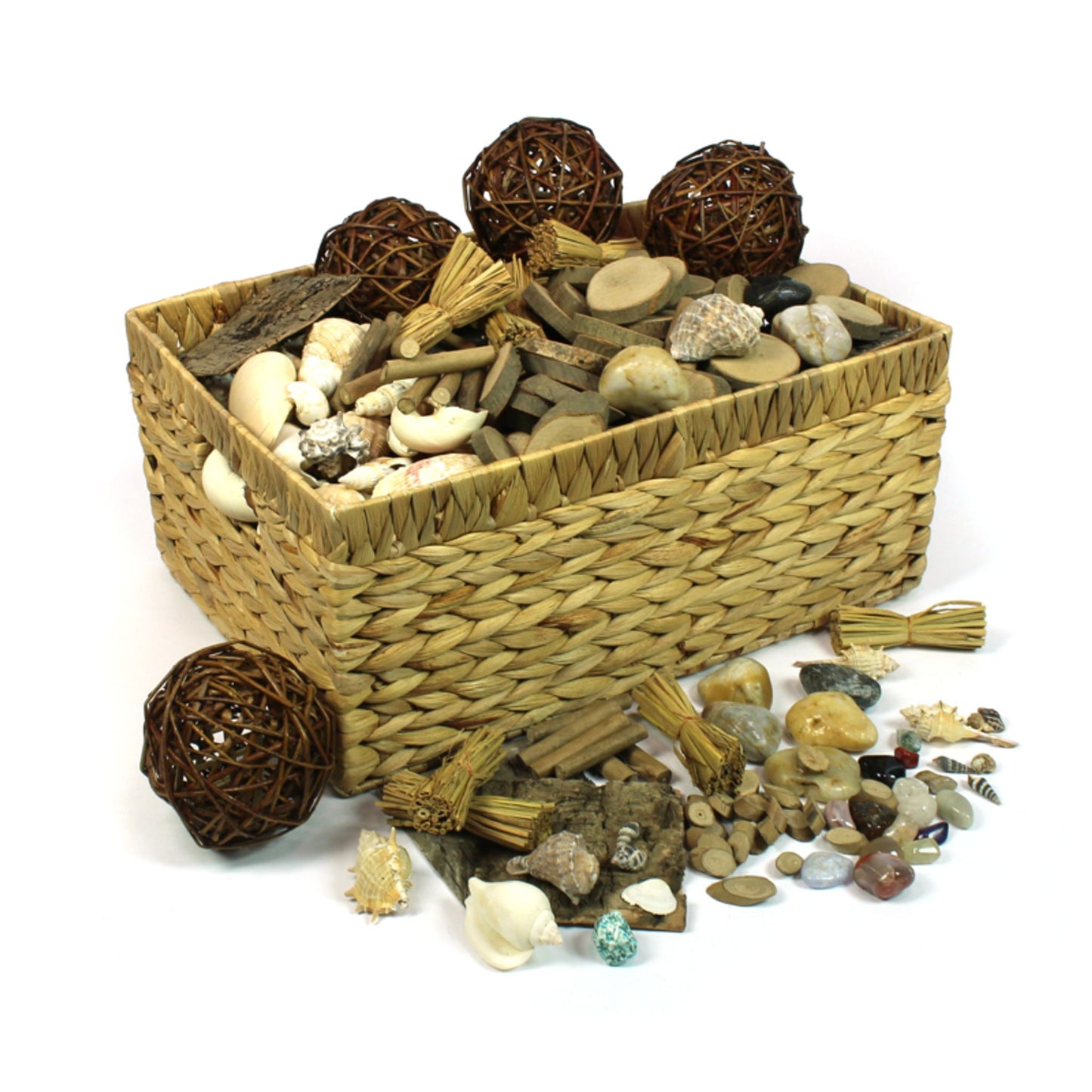 Natural exploration basket