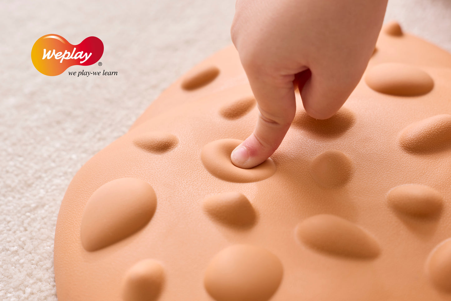 Coquillages tactile
