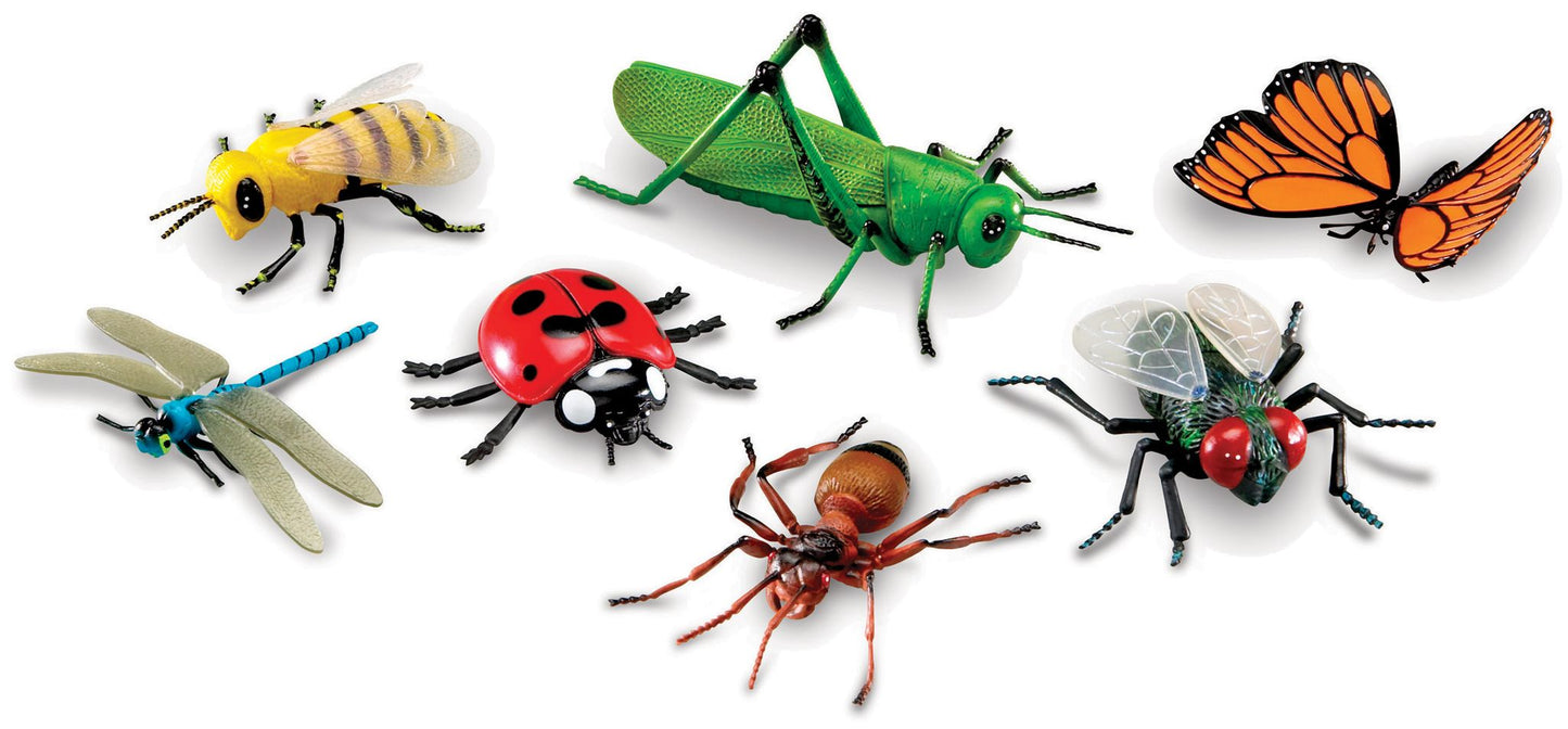 Insectes géants