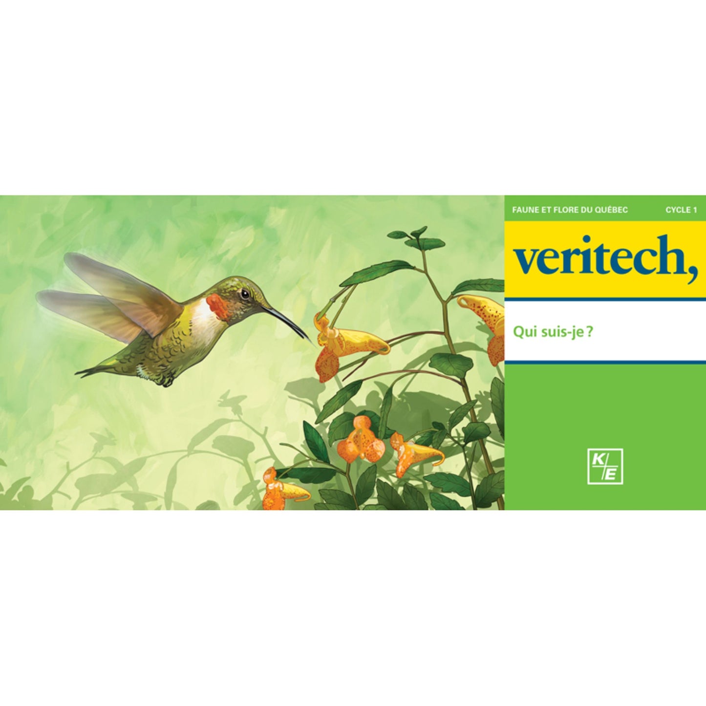 Veritech – Qui suis-je?