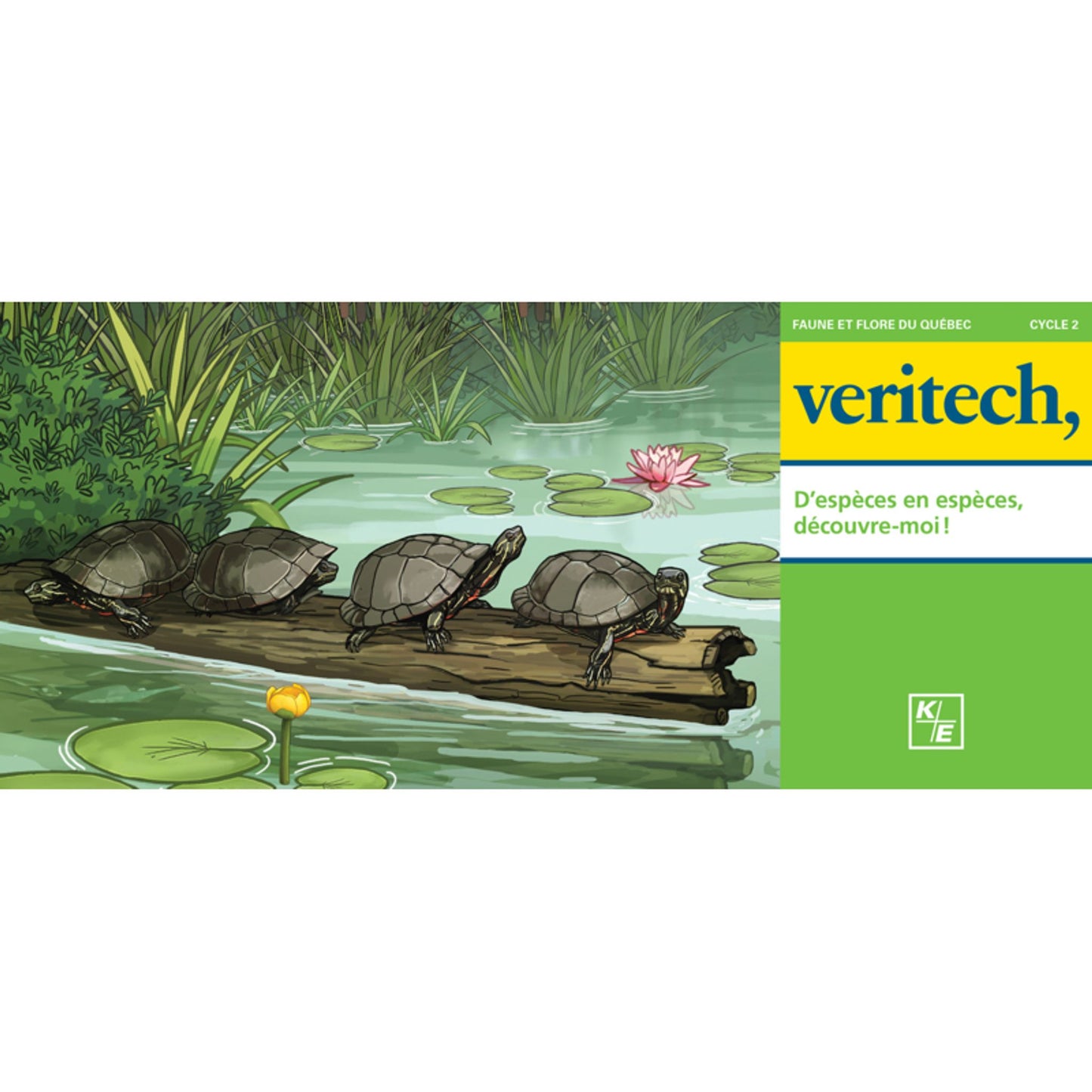 Veritech – D'espèces en espèces, découvre-moi!