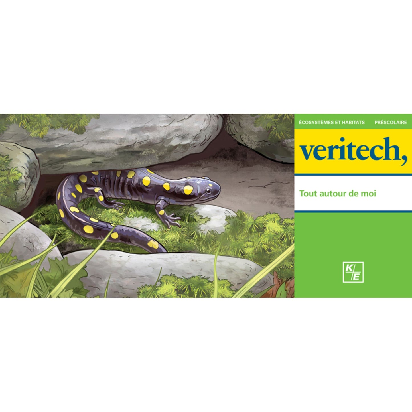 Veritech – Tout autour de moi