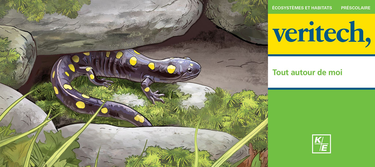 Veritech – Tout autour de moi