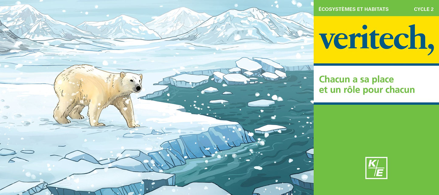 Veritech – Chacun a sa place et un rôle pour chacun