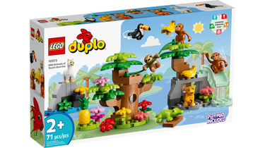 LEGO® DUPLO - La maison familiale sur roues - Brault & Bouthillier
