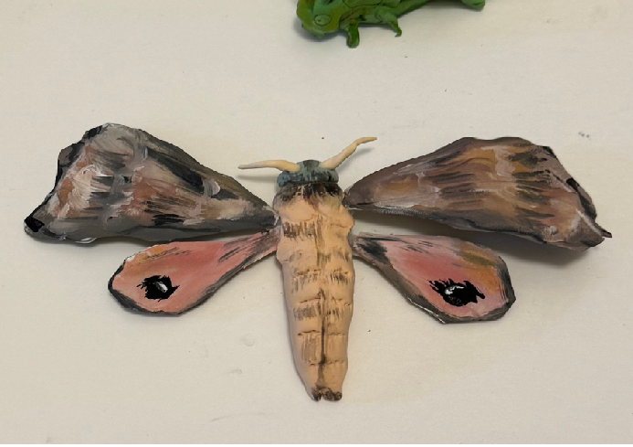 Insectes en 3D
