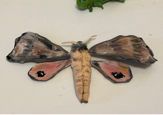 Insectes en 3D