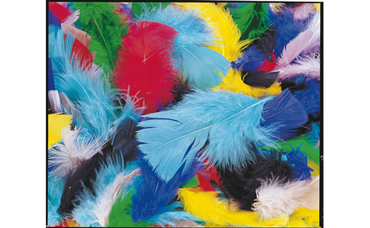 Plumes