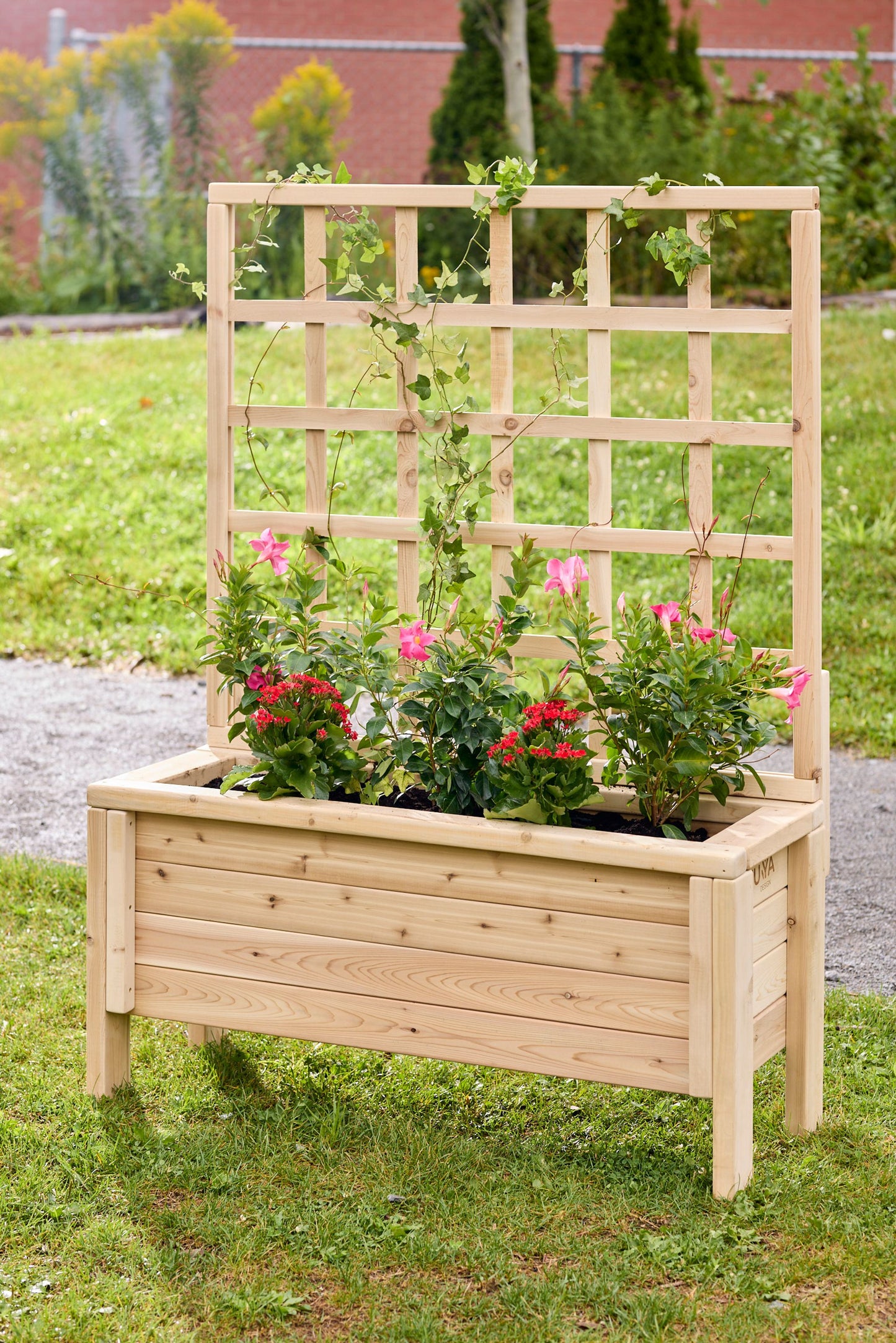 Bacs de Plantation Tuya