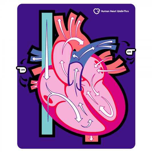 Tapis d'apprentissage – Le coeur