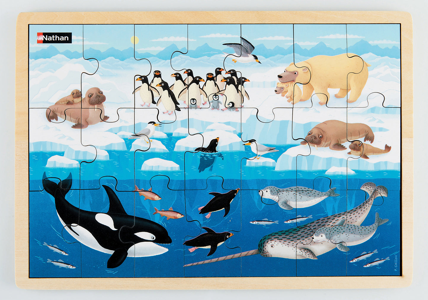 Sets of 4 Wooden Puzzles