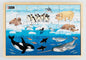 Sets of 4 Wooden Puzzles