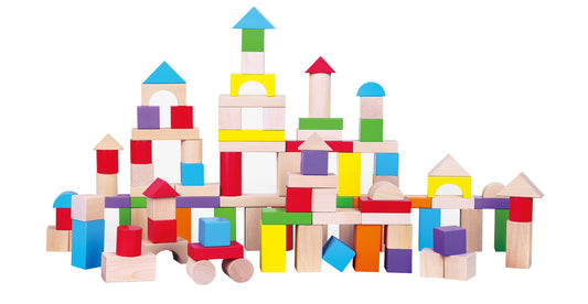 Block Set – 100 Pieces
