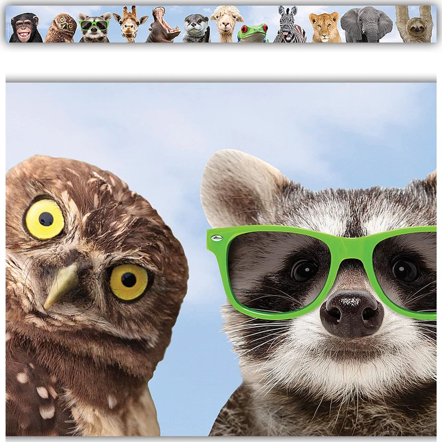 Bordure décorative – Animaux