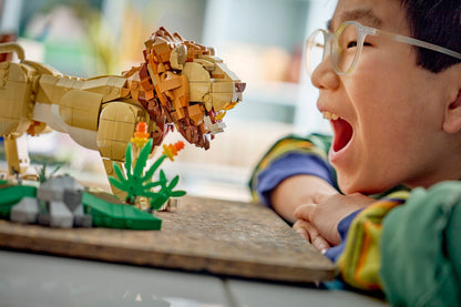 LEGO Creator 3-en-1 - 31386 - Les animaux sauvages : le lion majestueux