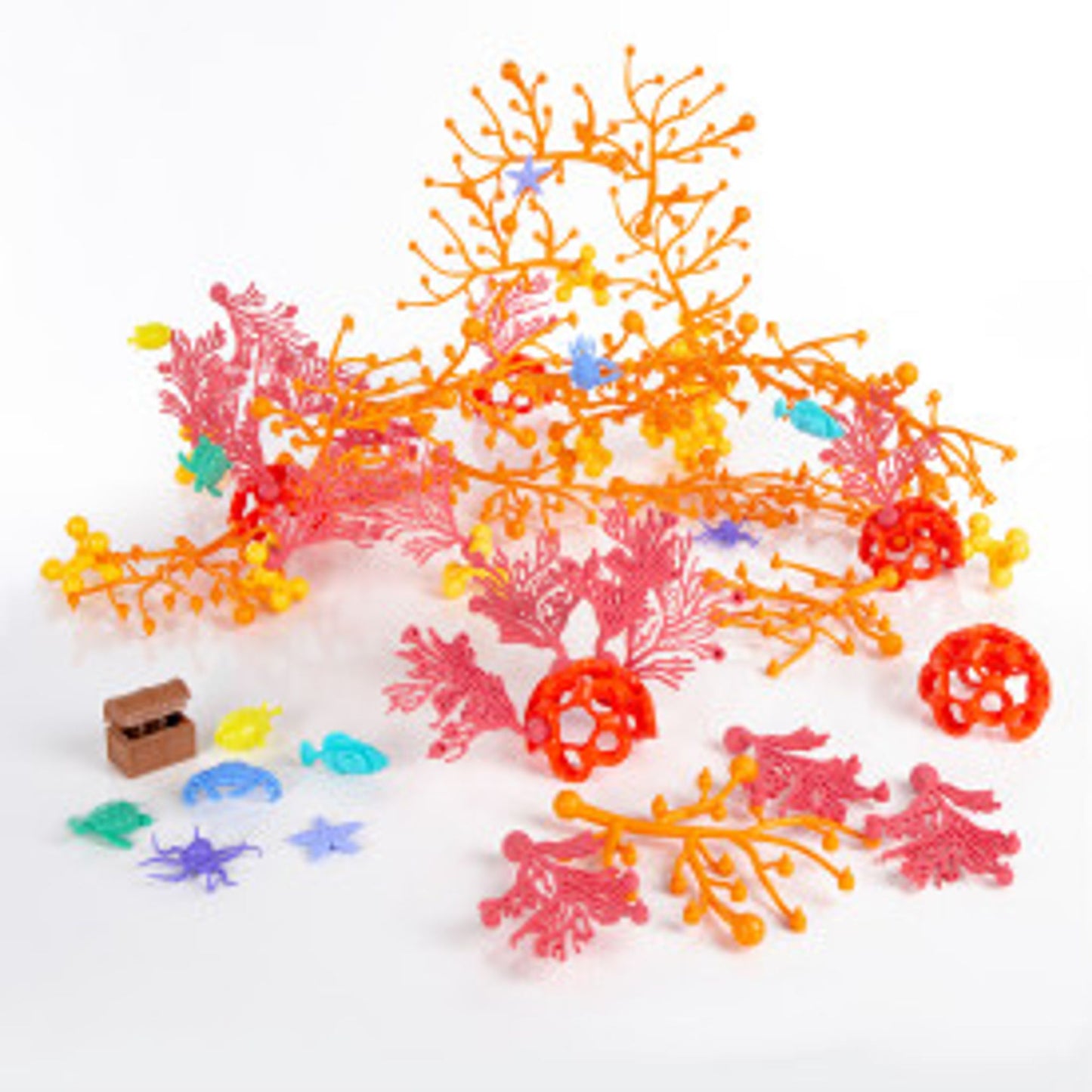 Connexions de coraux