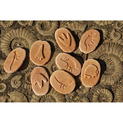 Let's investigate Stones – Set of 8