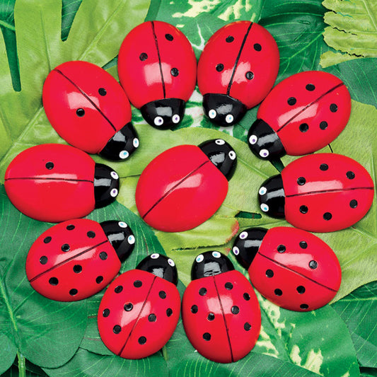 Coccinelles