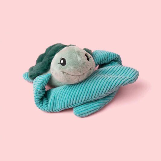 Sidney the sea turtle hug
