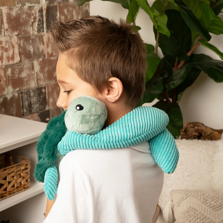 Sidney the sea turtle hug