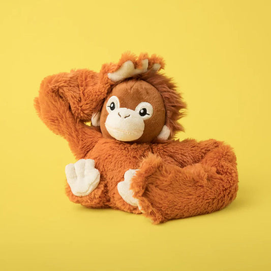 Ollie the orangutan hug