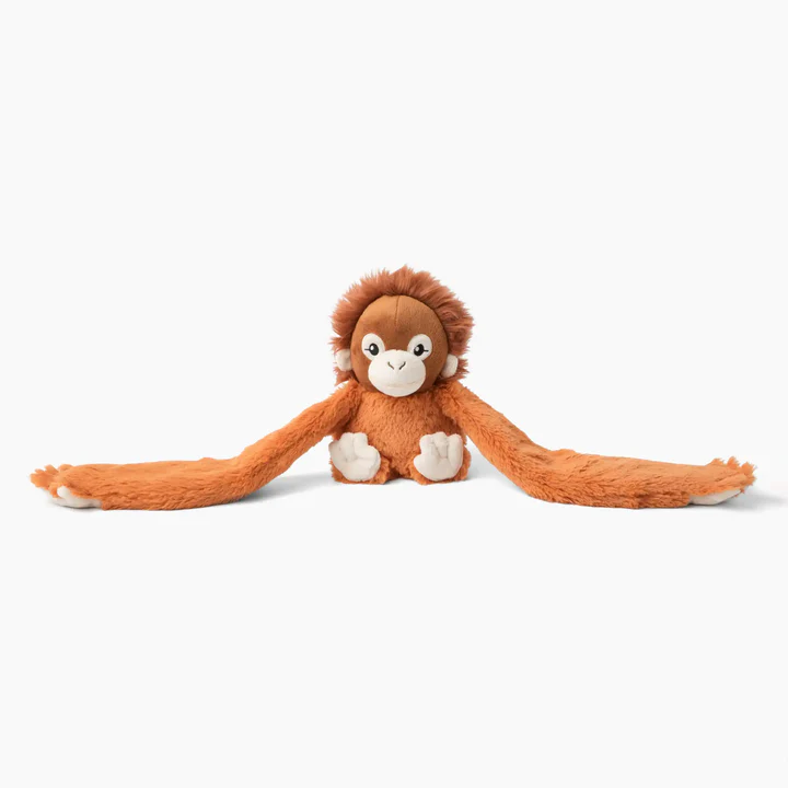 Ollie the orangutan hug
