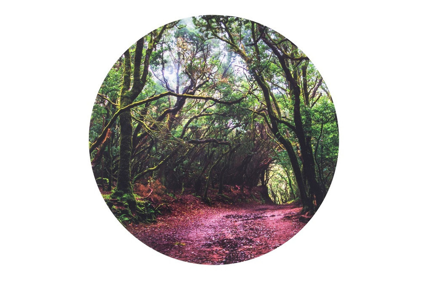 Forest discovery play mat