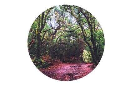 Forest discovery play mat