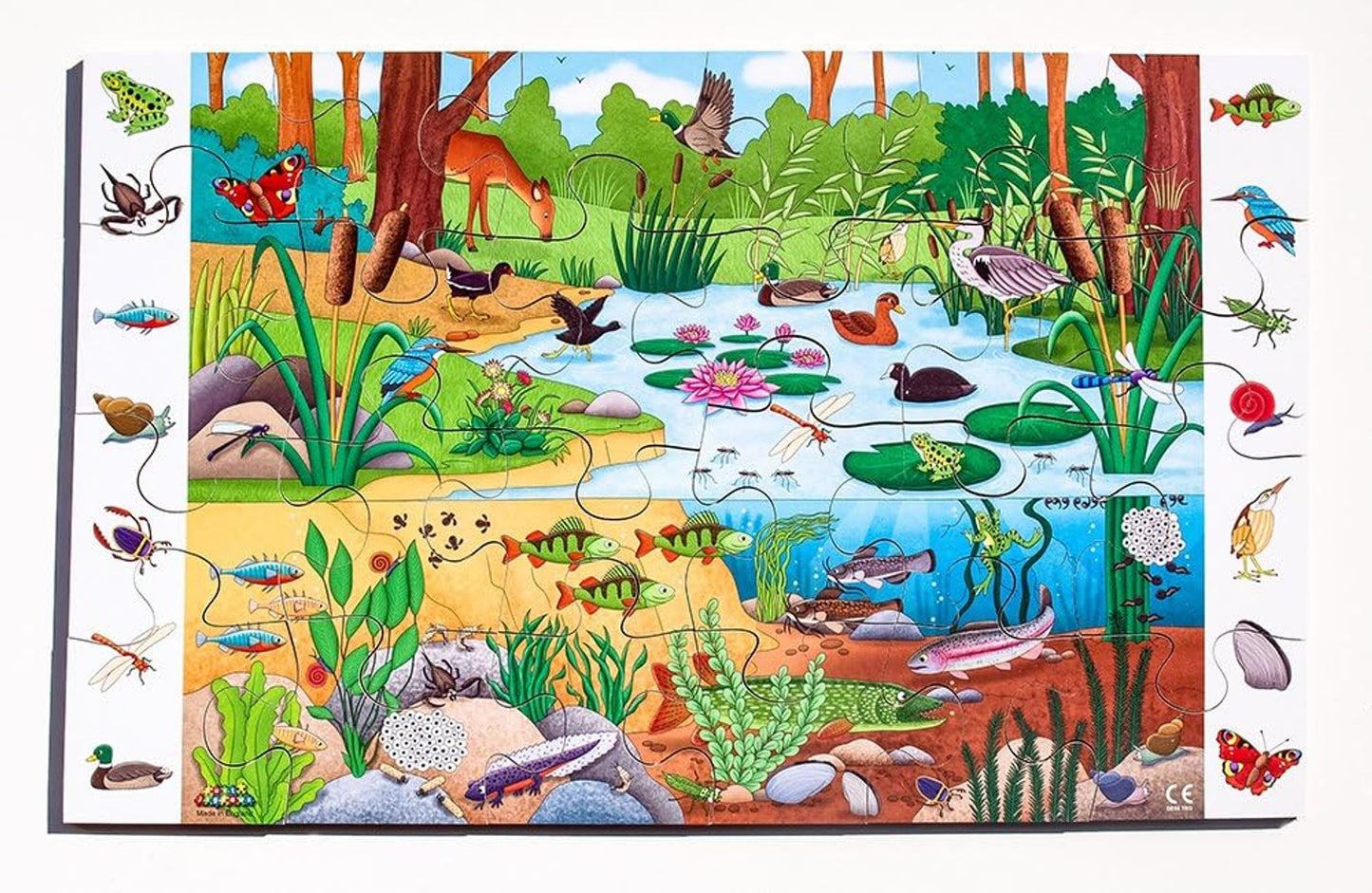 Pond observation puzzle
