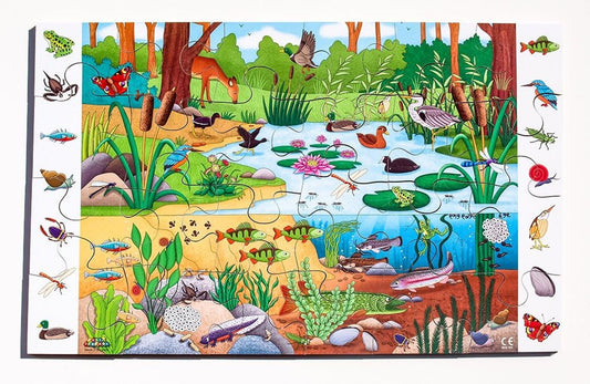 Pond observation puzzle