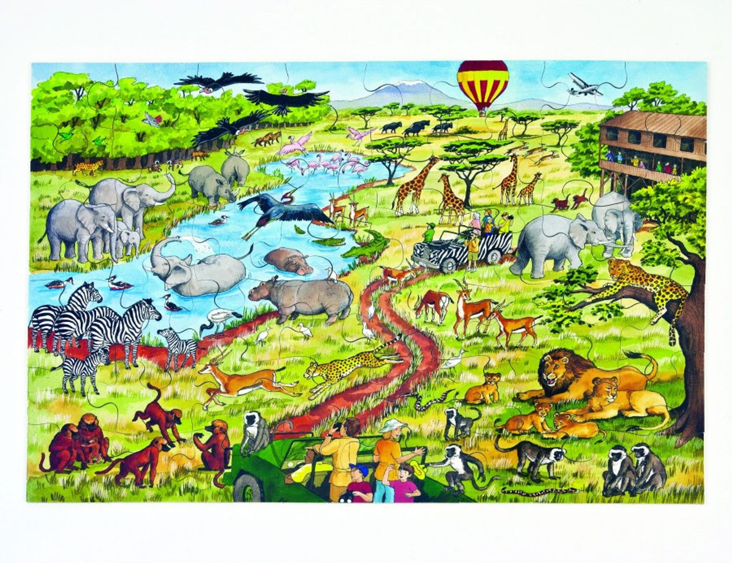 Observation puzzle – Conservation park