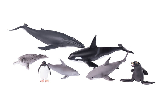 Animaux aquatiques