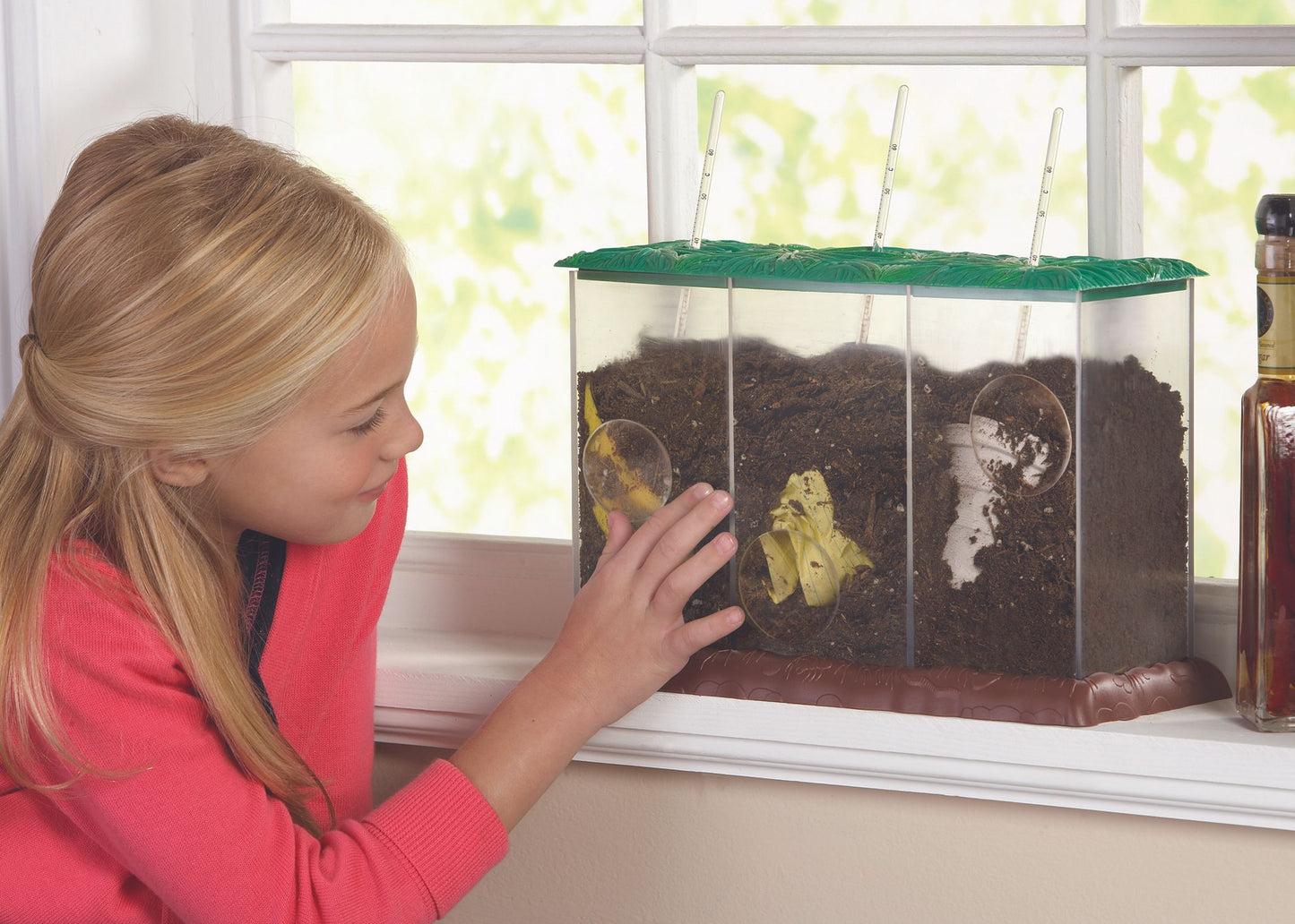 Contenant à compostage transparent