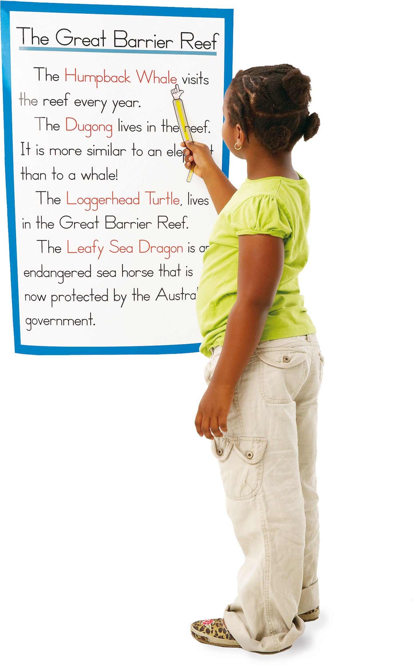 Bandes pour la lecture avec pointeur