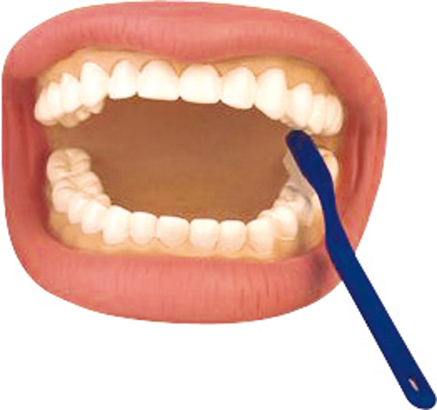 Movable mouth with toothbrush