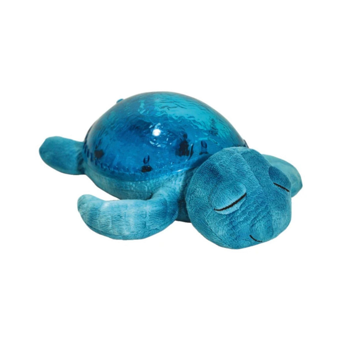 Tranquil Turtle