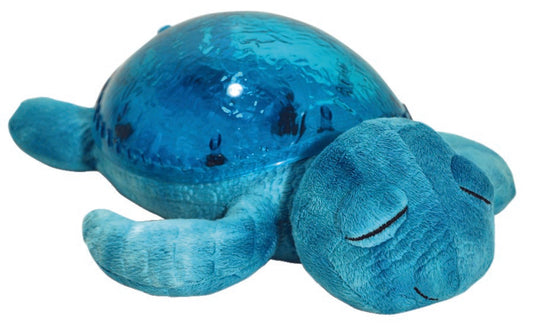 Tortues lumineuses musicales